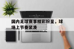 IM电竞-国内足球赛事精彩纷呈，球场上节奏紧凑