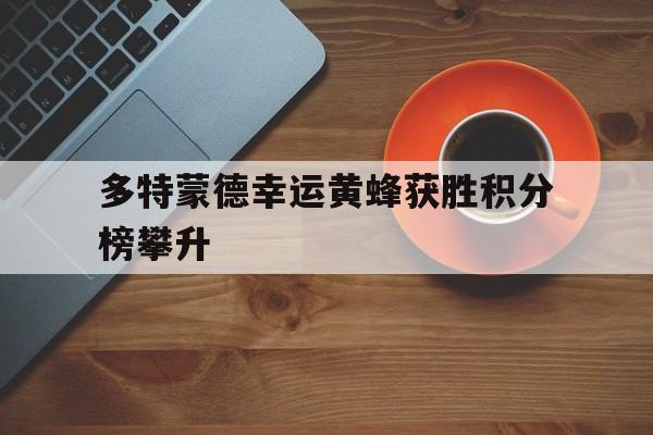 多特蒙德幸运黄蜂获胜积分榜攀升